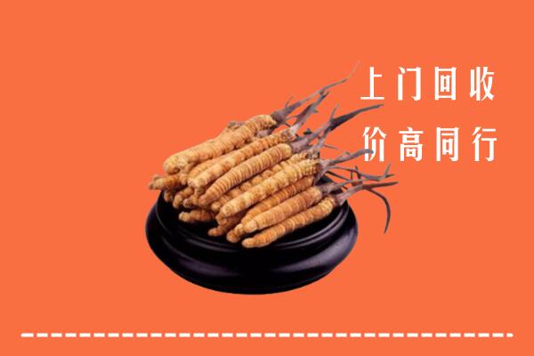 高价求购：雁塔区回收散虫草